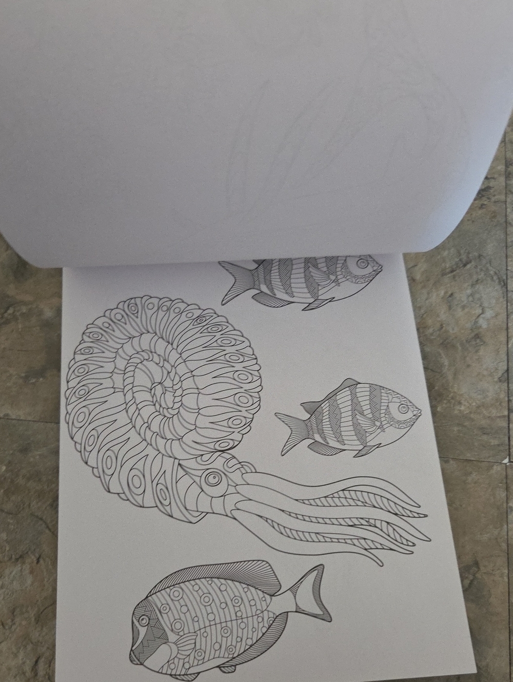 Set Of 3 Colorung Books - Picture 5 of 17